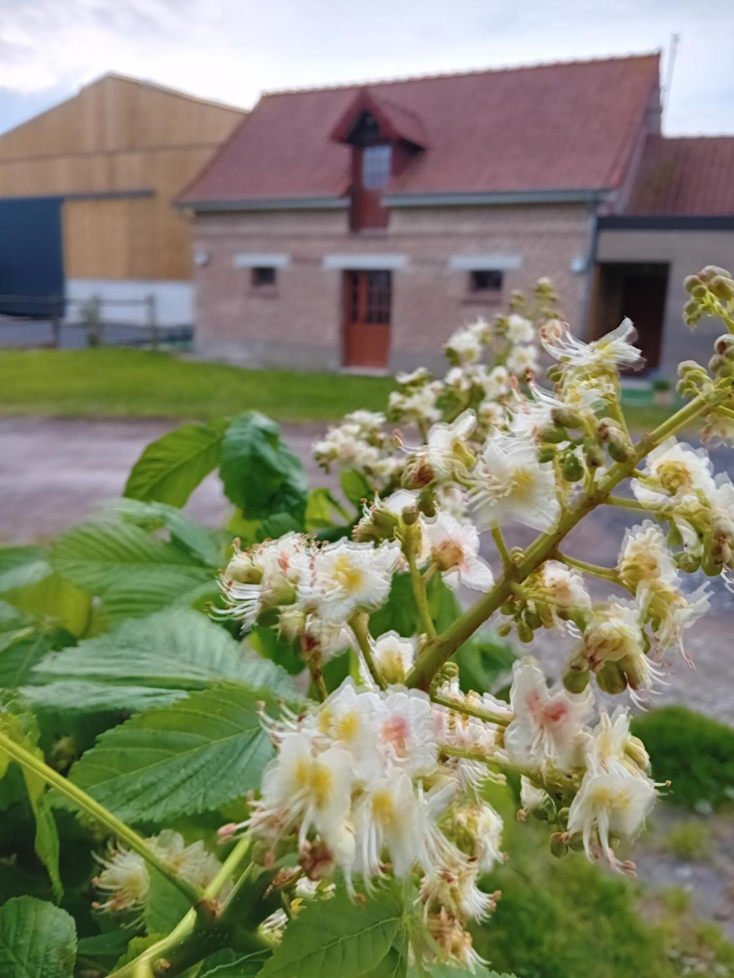 Gite Ferme Du Marronnier Derchigny 외부 사진